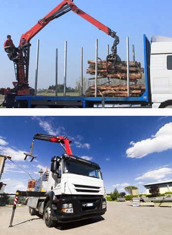 grue Arrodets-ez-angles grue Arrodets-ez-angles